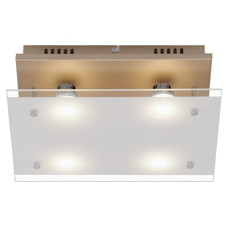 Briloner 3586-047 - Стельовий LED світильник SMART GOLD 4xGU10/4W/230V