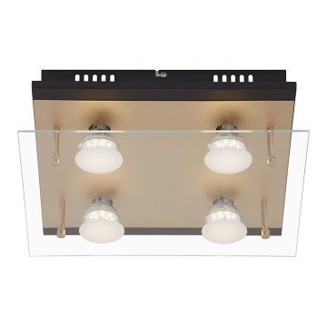 Briloner 3589-045 - Стельовий LED світильник 4xGU10/4W/230V