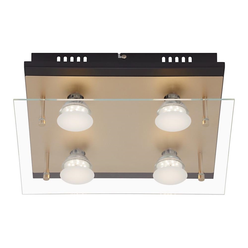 Briloner 3589-045 - Стельовий LED світильник 4xGU10/4W/230V
