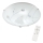 Briloner 3625-016 - Світлодіодний стельовий світильник з регульованою яскравістю AGILED LED/22W