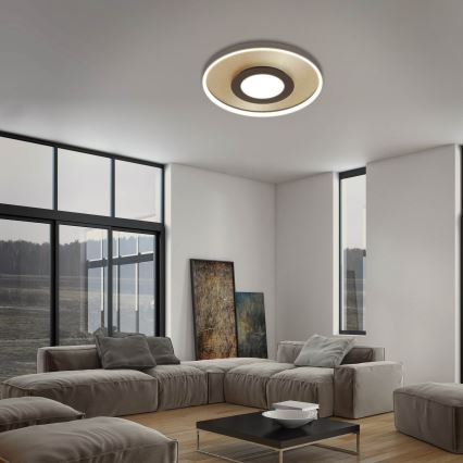 Briloner 3640017 - Светодиодный потолочный светильник с регулированием яркости FRAME LED/25W/230V 2700-6500K + дистанционное управление