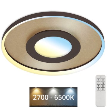 Briloner 3640017 - Світлодіодний стельовий світильник з регулюванням яскравості FRAME LED/25W/230V 2700-6500K + пульт дистанційного керування