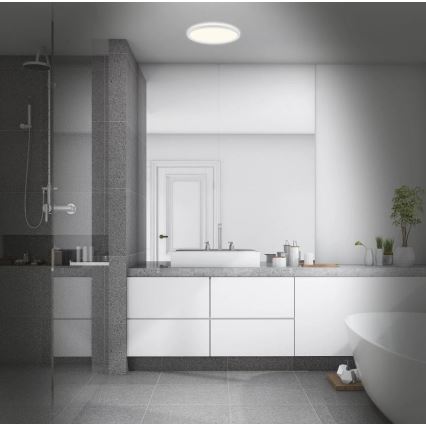 Briloner 3642-416 - Світлодіодний стельовий світильник для ванної кімнати SLIM LED/19W/230V IP44 білий
