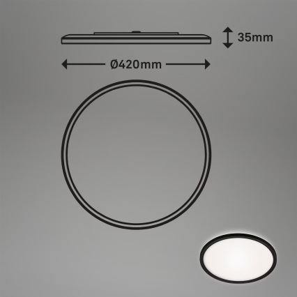 Briloner 3643-415 - Світлодіодний стельовий світильник для ванної кімнати LED/22W/230V IP44 4000K