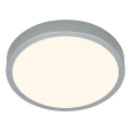 Briloner 3700-014 - Светодиодный потолочный светильник RUNA LED/16W/230V 3000K диаметр 28 см серебристый