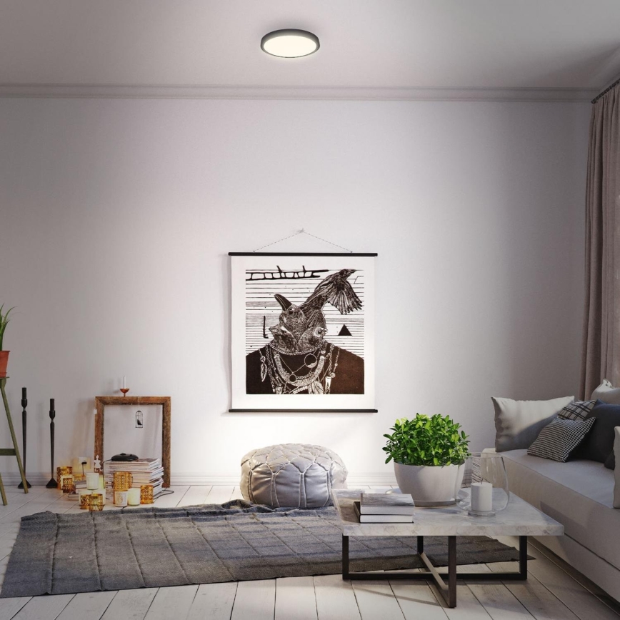 Briloner 3700-015 - Стельовий LED світильник RUNA LED/16W/230V 3000K діаметр 28 см чорний
