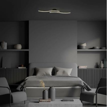 Briloner 3718-025 - Светодиодная припотолочная люстра REY 2xLED/6W/230V черный