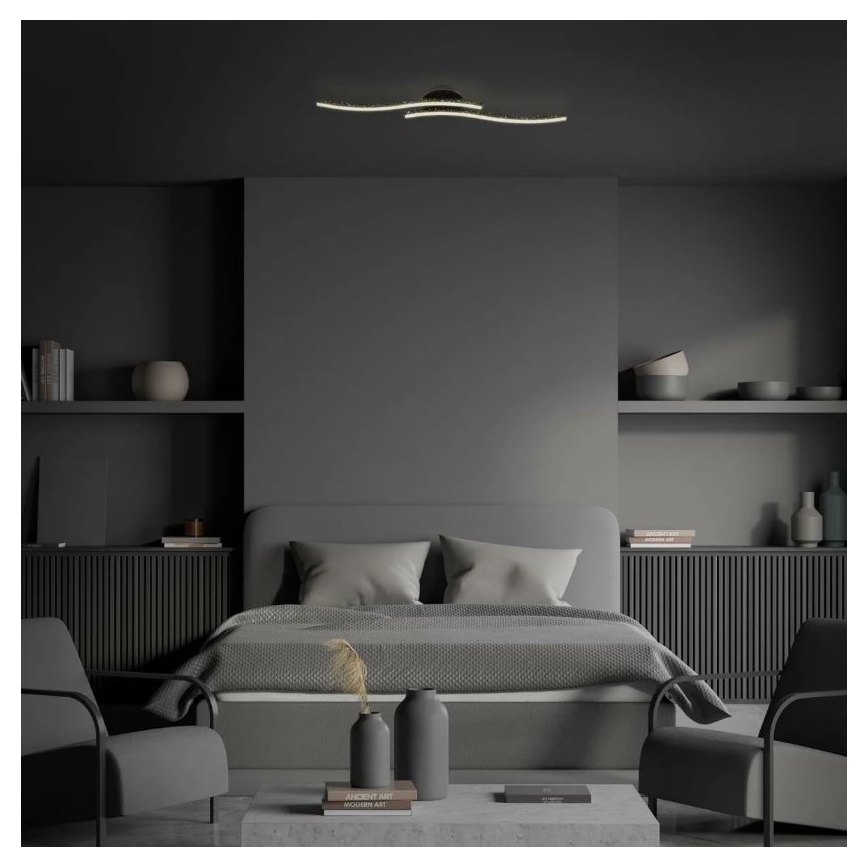 Briloner 3718-025 - Светодиодная припотолочная люстра REY 2xLED/6W/230V черный
