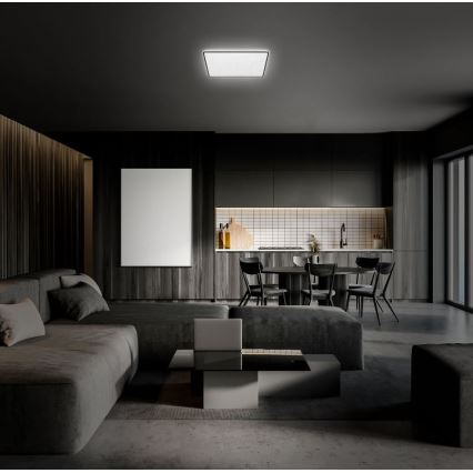 Briloner 3749-415 - Стельовий LED світильник LINO LED/24W/230V чорний