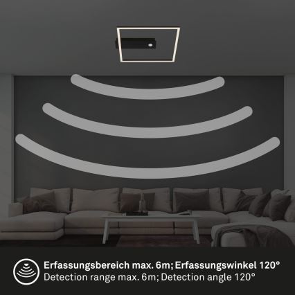 Briloner 3770-015 - потолочный светильник с датчиками движения и сумерек FRAME LED/14W/230V 3000K 30x32 cm чёрный