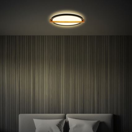 Briloner 3844015 - LED-стельовий світильник LED/18W/230V діаметр 31,5 см