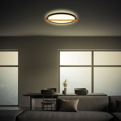 Briloner 3844015 - LED-стельовий світильник LED/18W/230V діаметр 31,5 см