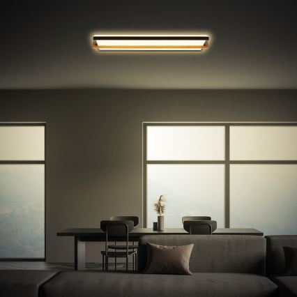 Briloner 3846015 - LED стельовий світильник REMSA LED/22W/230V 3000K 60,5x20 cm чорний