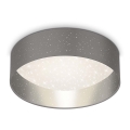 Briloner 3882-014 - Светодиодный потолочный светильник MAILA STARRY LED/18W/230V серый/серебристый