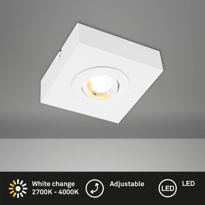 Briloner 3996016 - Світлодіодний точковий світильник CTS LED/4W/230V 2700/4000K білий
