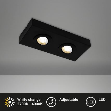 Briloner 3996025 - Світлодіодний точковий світильник CTS 2xLED/4W/230V 2700/4000K чорний