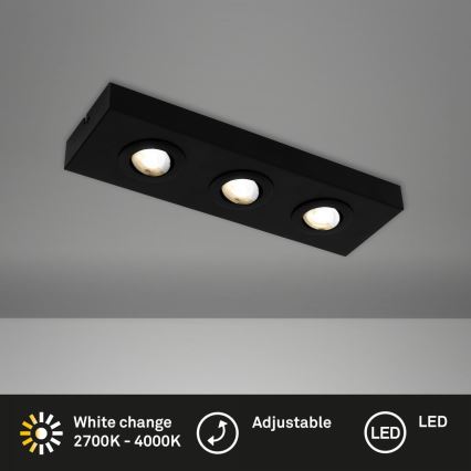 Briloner 3996035 - Світлодіодний точковий світильник CTS 3xLED/4W/230V 2700/4000K чорний