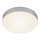 Briloner 7064014 - Стельовий LED світильник FLAME LED/11W/230V срібний