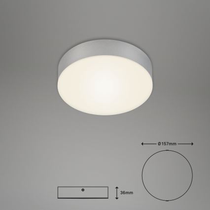 Briloner 7064014 - Стельовий LED світильник FLAME LED/11W/230V срібний
