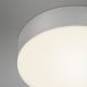 Briloner 7064014 - Стельовий LED світильник FLAME LED/11W/230V срібний