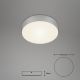 Briloner 7064014 - Стельовий LED світильник FLAME LED/11W/230V срібний