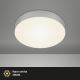 Briloner 7065-014 - Стельовий LED світильник FLAME LED/16W/230V срібний