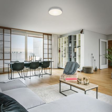 Briloner 7065-014 - Светодиодный потолочный светильник FLAME LED/16W/230V серебристый