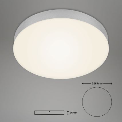 Briloner 7066-014 - Стельовий LED світильник FLAME LED/21W/230V 3000K срібний діаметр 28,7 см