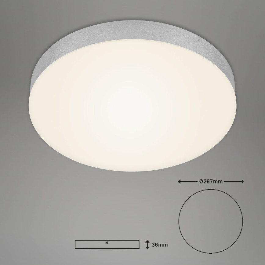 Briloner 7066-014 - Стельовий LED світильник FLAME LED/21W/230V 3000K срібний діаметр 28,7 см