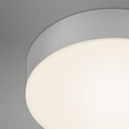 Briloner 7066-014 - Светодиодный потолочный светильник FLAME LED/21W/230V 3000K серебристый диаметр 28,7 см