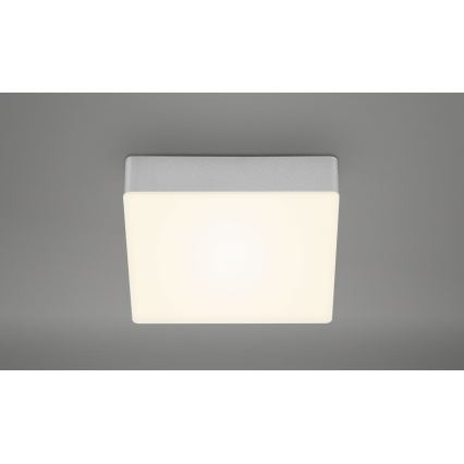 Briloner 7069-014 - Стельовий LED світильник LED/11W/230V срібний
