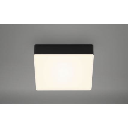 Briloner 7069-015 - Стельовий LED світильник LED/11W/230V чорний