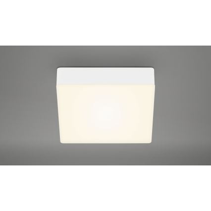 Briloner 7069-016 - Стельовий LED світильник LED/11W/230V білий