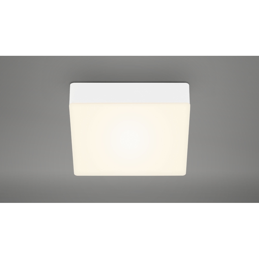 Briloner 7069-016 - Стельовий LED світильник LED/11W/230V білий