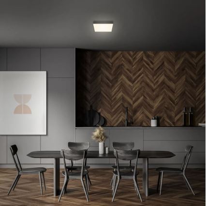 Briloner 7070-015 - Стельовий LED світильник FLAME LED/16W/230V чорний