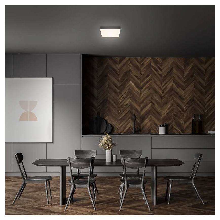 Briloner 7070-015 - Стельовий LED світильник FLAME LED/16W/230V чорний