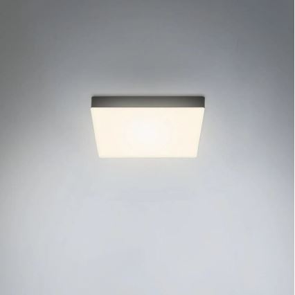 Briloner 7070-015 - Стельовий LED світильник FLAME LED/16W/230V чорний