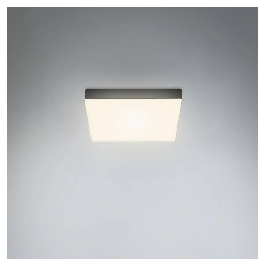 Briloner 7070-015 - Стельовий LED світильник FLAME LED/16W/230V чорний
