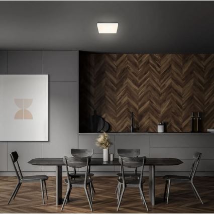 Briloner 7070-016 - Стельовий LED світильник FLAME LED/16W/230V білий