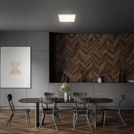 Briloner 7071-014 - Стельовий LED світильник FLAME LED/21W/230V 3000K 28,7x28,7 см срібний