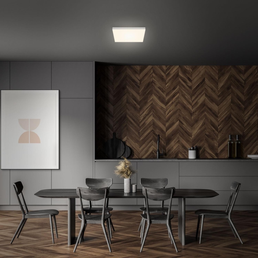 Briloner 7071-014 - Стельовий LED світильник FLAME LED/21W/230V 3000K 28,7x28,7 см срібний