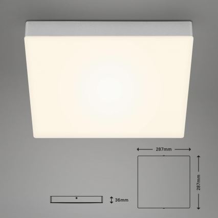 Briloner 7071-014 - Стельовий LED світильник FLAME LED/21W/230V 3000K 28,7x28,7 см срібний