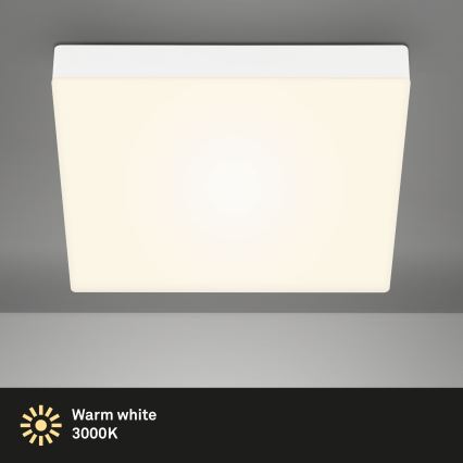 Briloner 7071016 - Стельовий LED світильник FLAME LED/21W/230V білий