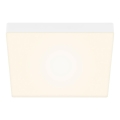 Briloner 7071016 - Светодиодный потолочный светильник FLAME LED/21W/230V белый