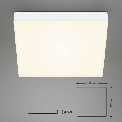 Briloner 7071016 - Светодиодный потолочный светильник FLAME LED/21W/230V белый
