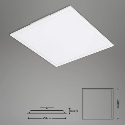 Briloner 7087-016 - LED RGBW Світильник з регулюванням яскравості SMART LED/24W/230V 3000-6500K Wi-Fi Tuya + пульт дистанційного керування