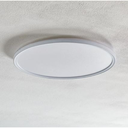 Briloner 7094-416 - Стельовий RGBW-світильник з регулюванням яскравості SLIM LED/22W/230V + пульт дистанційного керування