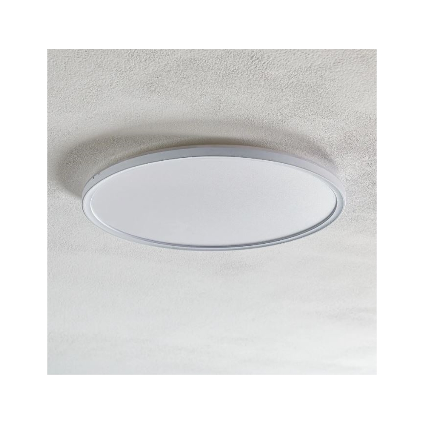 Briloner 7094-416 - Стельовий RGBW-світильник з регулюванням яскравості SLIM LED/22W/230V + пульт дистанційного керування