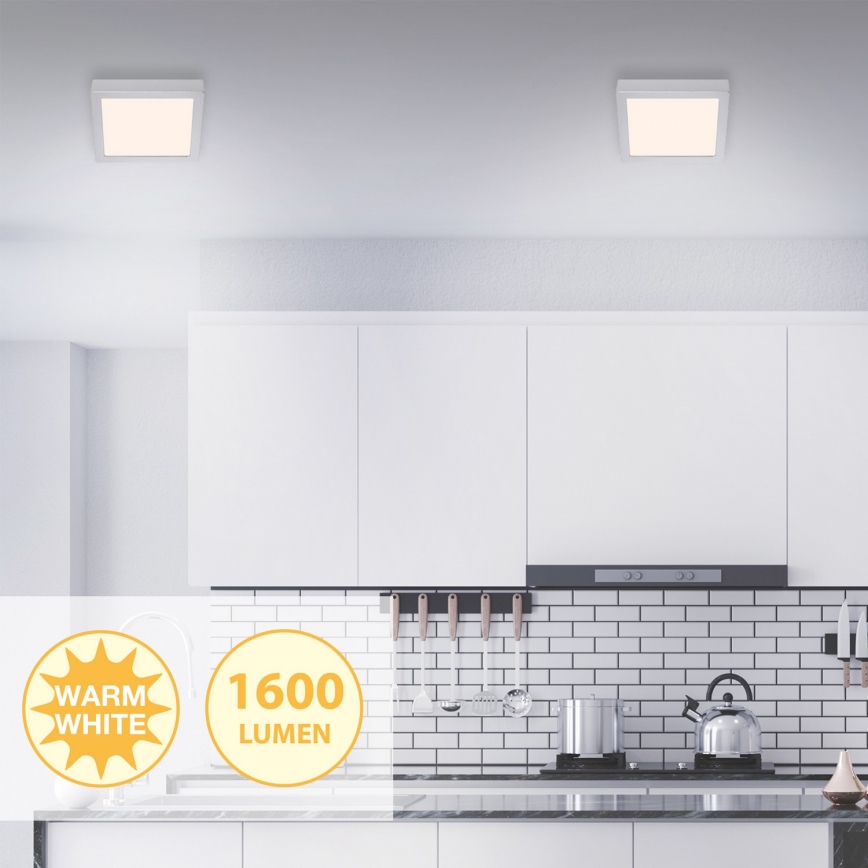 Briloner 7118-014 - Стельовий LED світильник FIRE LED/16,5W/230V 3000K