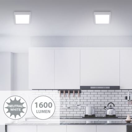 Briloner 7118-414 - Стельовий LED світильник FIRE LED/16,5W/230V 4000K